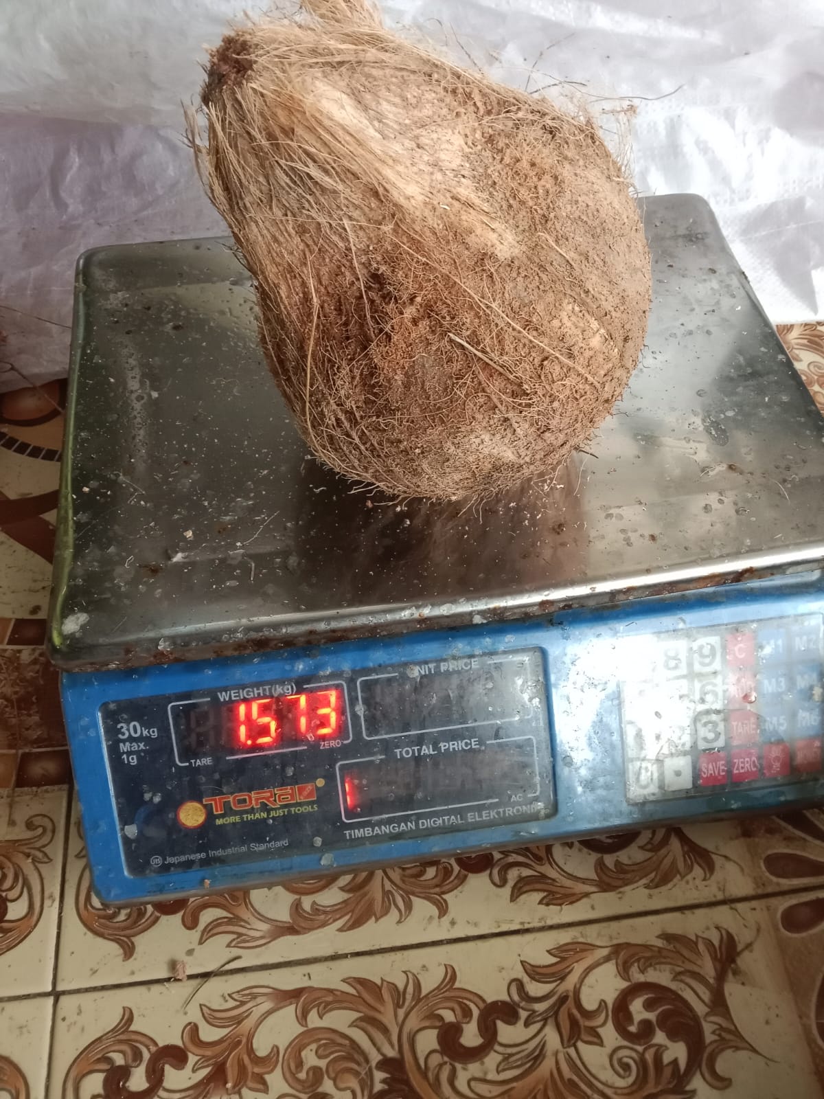 Sorted export-grade coconuts before packing