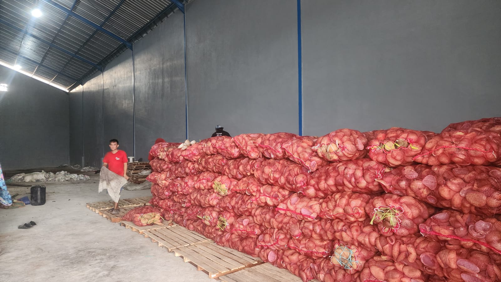 Coconut shipment prepared for export from Makassar