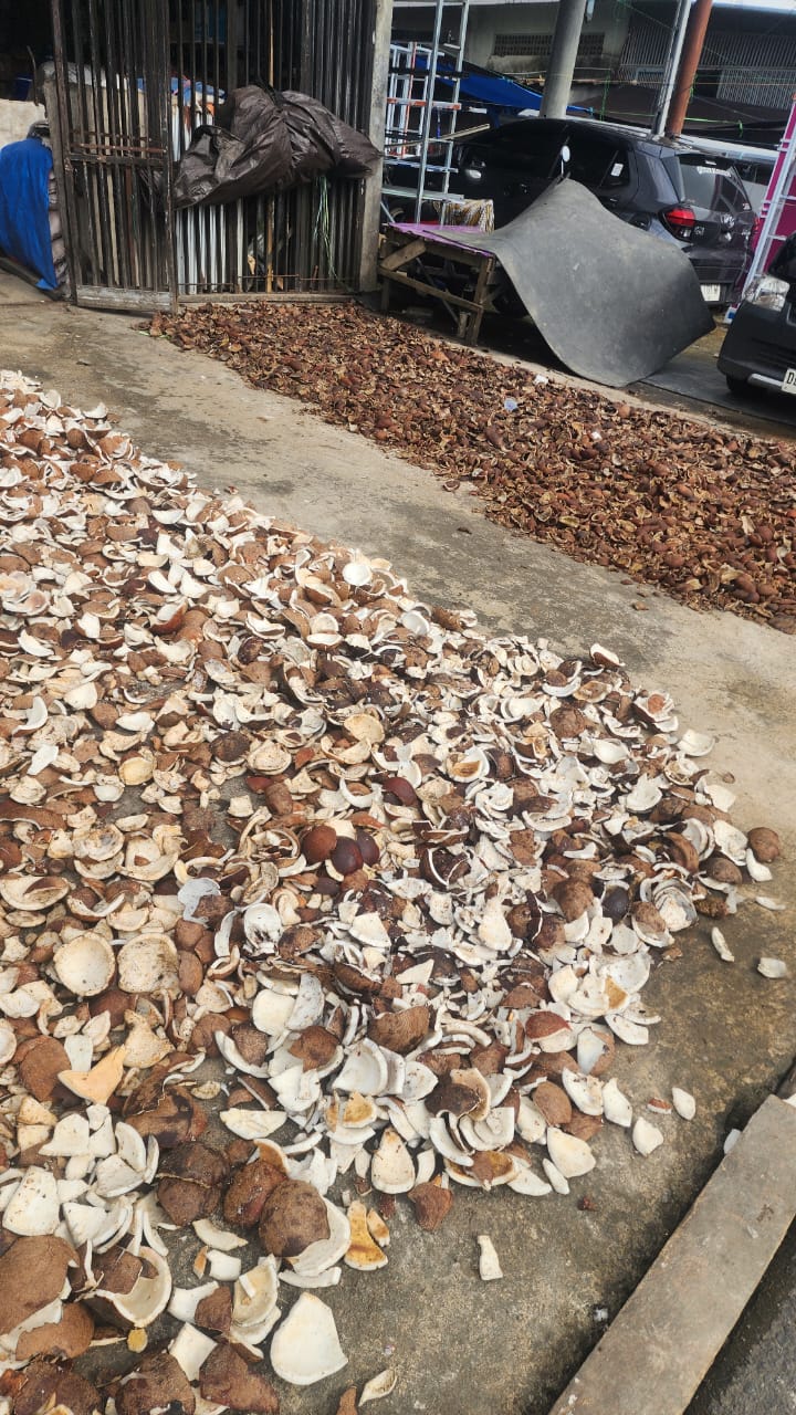 Sun-dried copra sorted and prepared for export packing